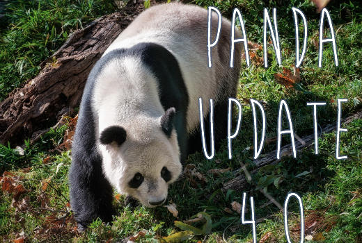 2014年のパンダアップデート4.0に対する見解と対処方法